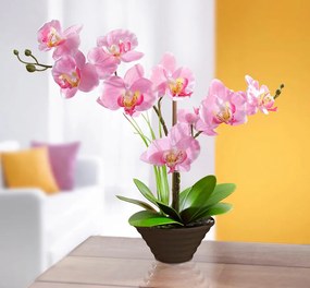 Dekoratívna orchidea 36 x 35 x 12 cm