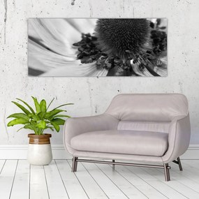 Obraz - Kvetina v čiernobielej (120x50 cm)