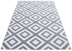 Svetlosivý koberec 160x230 cm Plus – Ayyildiz Carpets