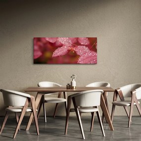 Obraz - Makro snímka lístka (120x50 cm)