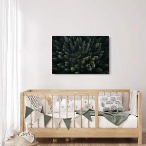 Obraz - Les (90x60 cm)