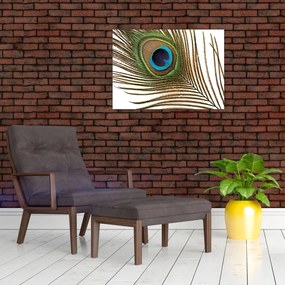 Sklenený obraz pávieho peria (70x50 cm)