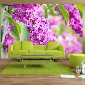 Artgeist Fototapeta - Lilac flowers Veľkosť: 100x70, Verzia: Standard