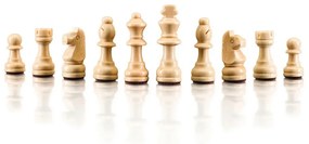 Popular 92220 Magnetický šach