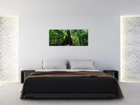 Obraz - Korene stromu (120x50 cm)