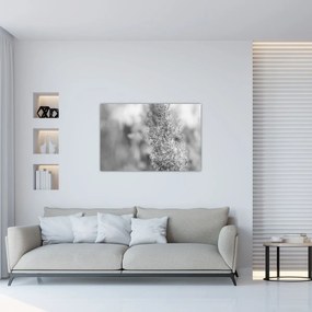 Obraz - Boho pampas grass (90x60 cm)