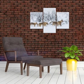 Obraz - Vlci v horách (90x60 cm)
