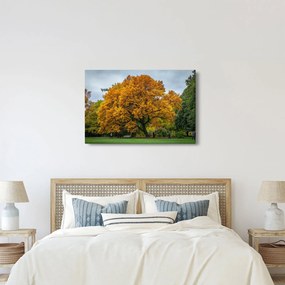 Obraz stromu (90x60 cm)