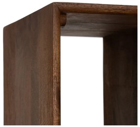 Hnedá knižnica z mangového dreva 60x190x30 cm Sagara – Ixia