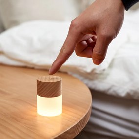 LED stolová lampa so stmievačom v prírodnej farbe so skleneným tienidlom (výška 6 cm) Lemelia – Gingko