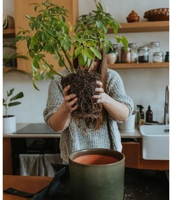 Kvetináč Moss XL, s miskou / sivozelený