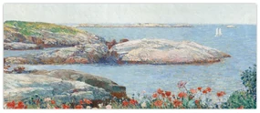Obraz - Childe Hassam, Poppies,  Isles of Shoals, reprodukcia (120x50 cm)