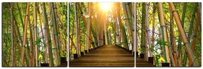 Obraz na plátne - Drevená promenáda v bambusovom lese - panoráma 5172B (90x30 cm)