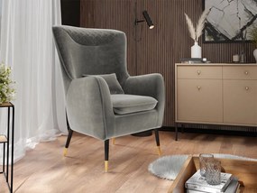 Čalúnené kreslo Arisean, Dostupné poťahy: Magic Velvet 2201