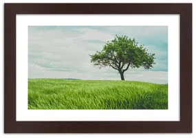 Gario Plagát Strom v poli Farba rámu: Bez rámu, Rozmery: 60 x 40 cm