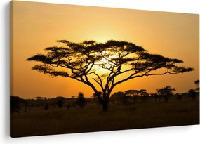 Obraz - Africká savana (90x60 cm)