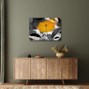 Obraz žltého dáždnika (70x50 cm)
