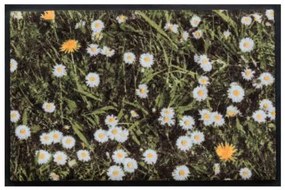 Kvety a listy premium rohožka - margarétka (Vyberte veľkosť: 60*40 cm)