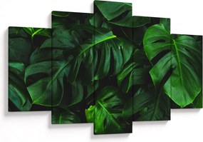 Obraz listov Monstery (150x105 cm)