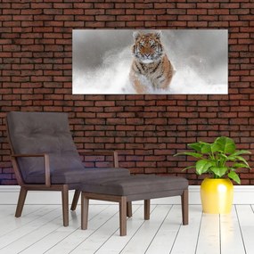 Obraz bežiaceho tigra v snehu (120x50 cm)