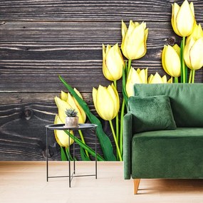 Samolepiaca fototapeta žlté tulipány v elegantnom prevedení