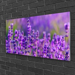 Skleneny obraz Pole fialová levanduľa 140x70 cm