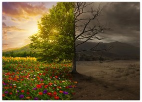 Obraz - Kolobeh života (70x50 cm)