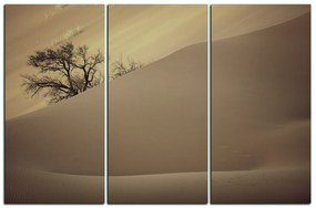 Obraz na plátne - Červené piesočné duny 1133FB (120x80 cm)