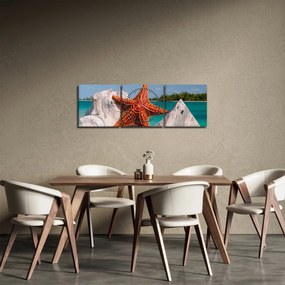 Obraz morskej hviezdice (s hodinami) (90x30 cm)