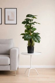 Umelá rastlina v kvetináči MONSTERA, plast, výška 85 cm, zelená