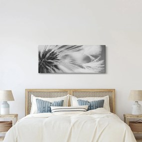 Obraz - Púpava (120x50 cm)