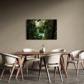 Obraz - Priezor medzi stromami (90x60 cm)