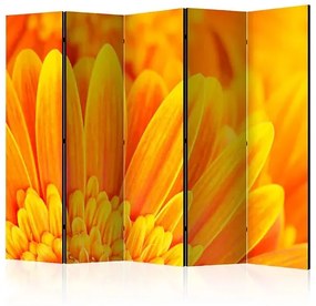 Paraván - Yellow gerbera daisies II [Room Dividers] Veľkosť: 225x172, Verzia: Jednostranný