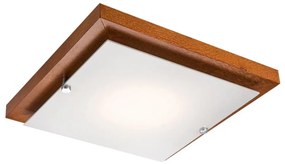 LED stropné svietidlo 1xLED/12W/230V