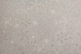 Dekorstudio Luxusný Vianočný obrus s hviezdami - strieborný SW30 Rozmer obrusu (šírka x dĺžka): 140x220cm