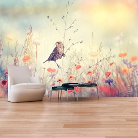 Artgeist Fototapeta - Field Bird Veľkosť: 400x280, Verzia: Premium