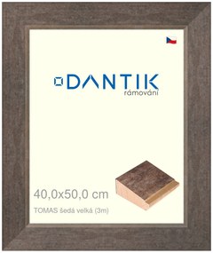 DANTIK rám na obraz 40x50 | TOMAS šedá velká (Sklo Čiré)