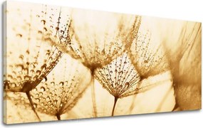 Obraz na stenu PANORÁMA KVETY KV071E13 - 30x60 cm