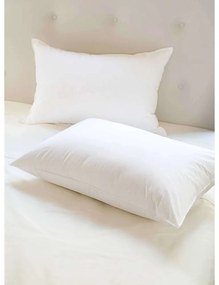 Vankúš 50 x 70 antialergický EMI standard