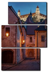 Obraz na plátne - Bratislava staré mesto s hradom vzadu - obdĺžnik 7265D (120x80 cm)