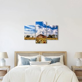 Obraz slnečnicového poľa (90x60 cm)