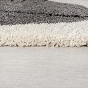 Flair Rugs koberce Kusový koberec Dakari Beauty Neutral - 160x230 cm