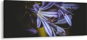 Obraz - Lila (120x50 cm)