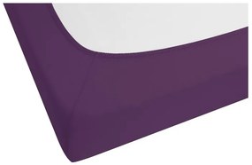 Biberna Napínacia džersejová plachta (fialová, 180 – 200 x 200 cm)  (100227068)