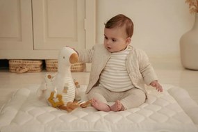 Hus plyšová s aktivitami Newborn Naturals