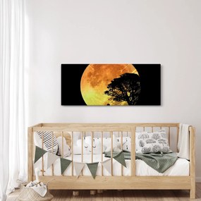 Obraz tieňov v mesačnom svetle (120x50 cm)