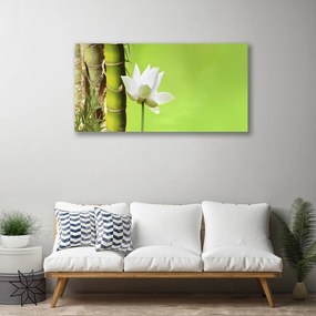 Obraz Canvas Bambus stonka rastlina príroda 140x70 cm