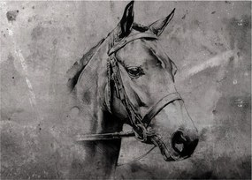 Obraz - Portrét koňa (70x50 cm)