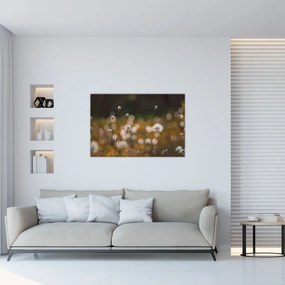 Obraz - Lúka s cottongrass N⁰2 (90x60 cm)