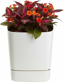 Plastový květináč s podmiskou Cubi 19x19 cm - výber z 6 prevedení